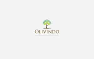 logo design, company profile and stationary for olivindo